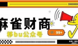 平安欠款爆料案例大全最新,揭秘金融借贷风险与维权之道