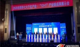 岳阳新闻网爆料信息最新,揭秘岳阳某神秘项目真相！