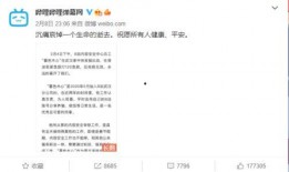 布莱泽的最新爆料,揭秘娱乐圈惊人内幕